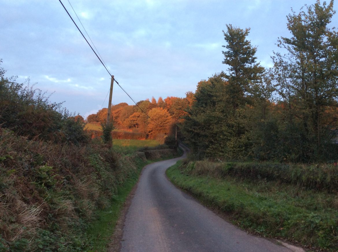 Devon lane in autumn