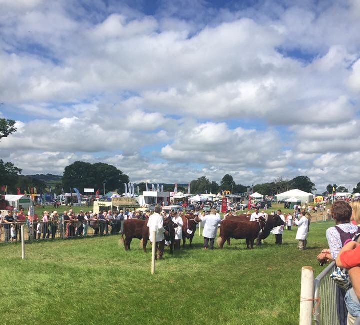 Mid Devon Show 2016