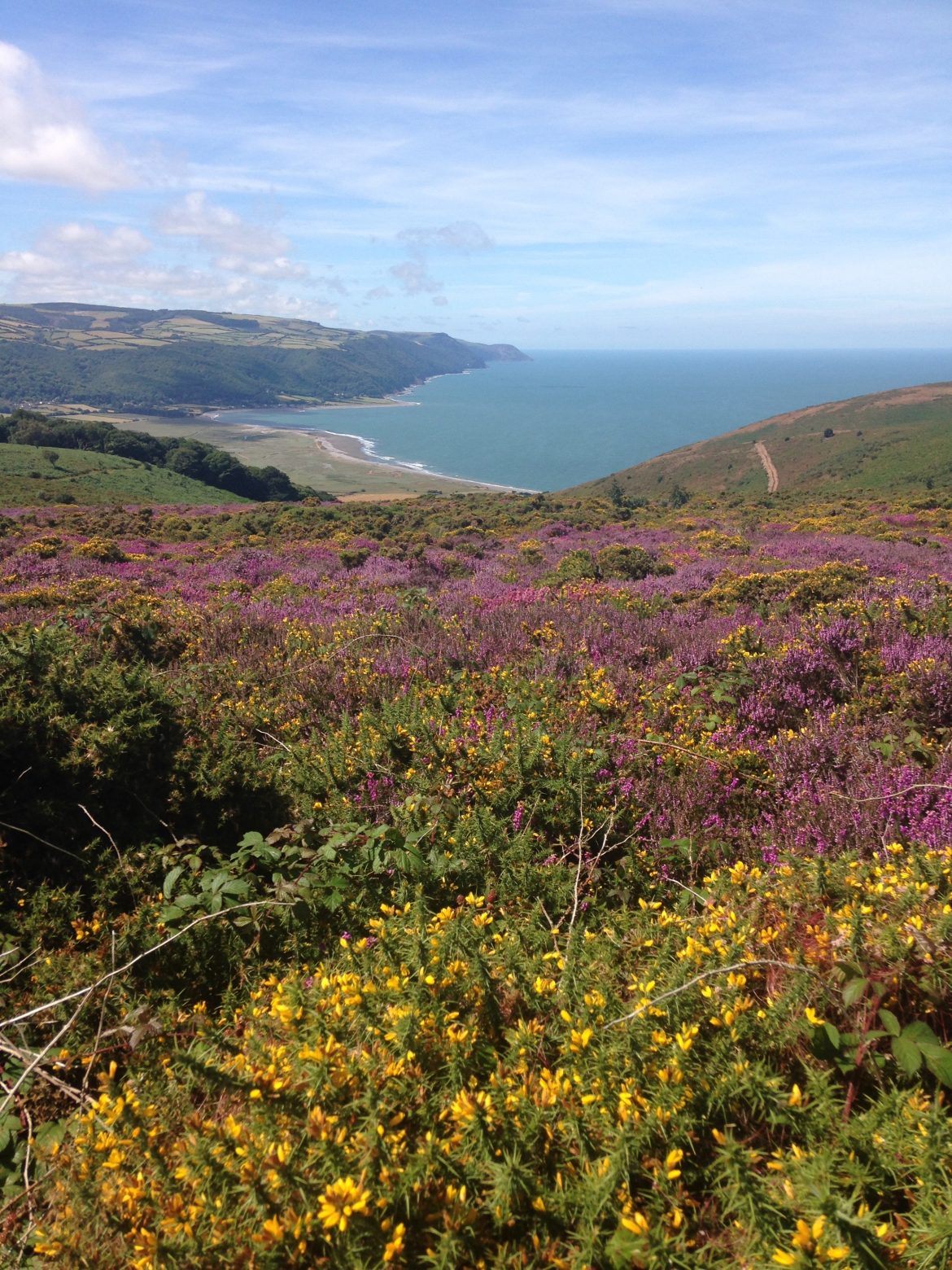 View from Bossington Hill