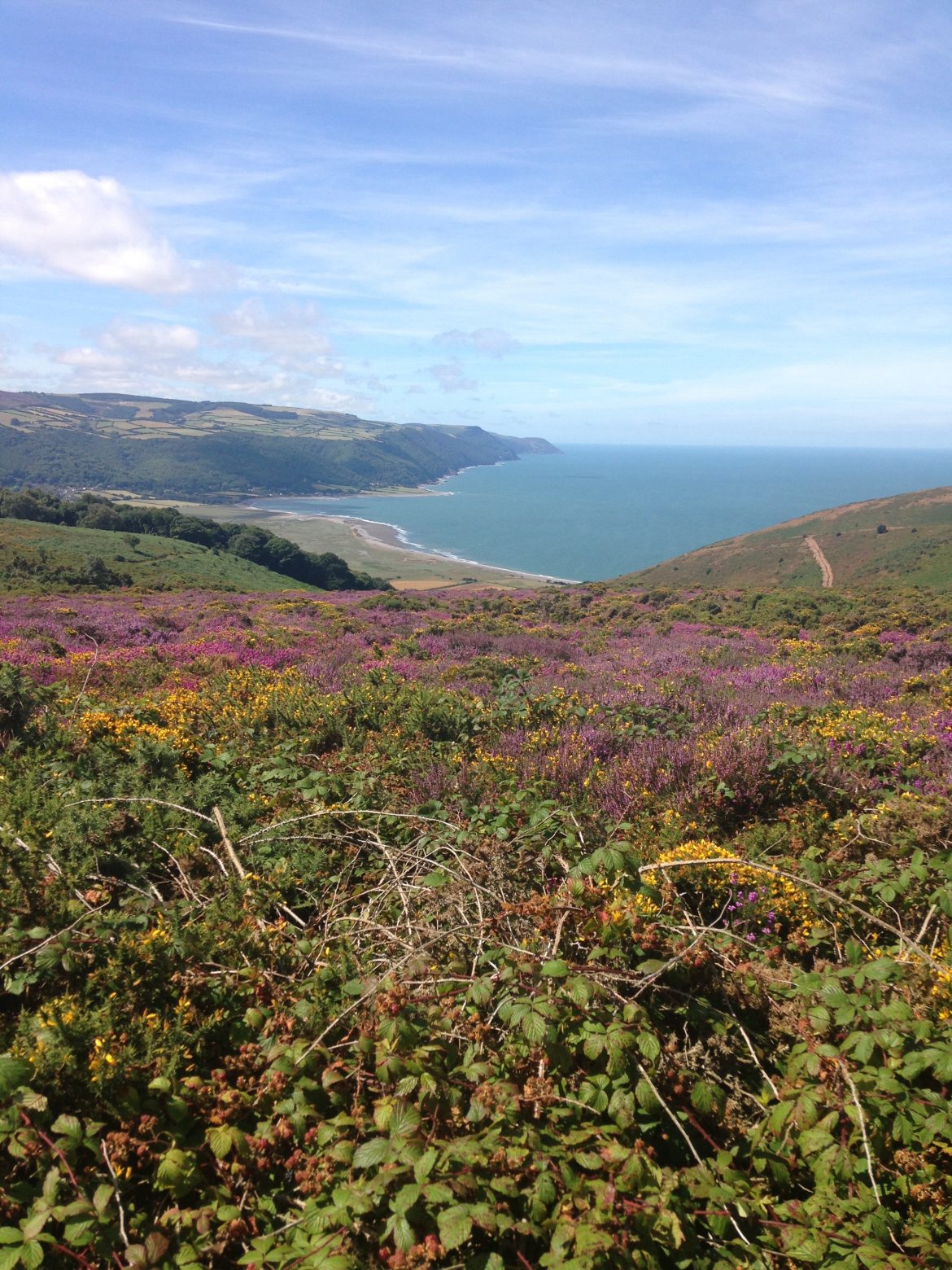 Somerset coast