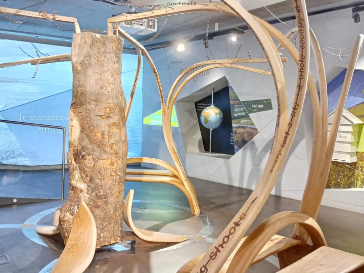 Prayer for the Week – Saturday 8th November 2025